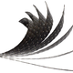Illustration for article titled Scientists 3D Printed Self-Assembling Wood and Carbon Fiber